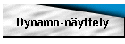 Dynamo-nyttely